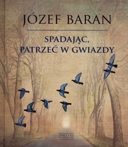 Obrazek Spadając patrzeć w gwiazdy