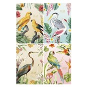 Polnische buch : Brulion B5...