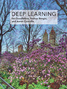 Obrazek GOODFELLOW, I: DEEP LEARNING