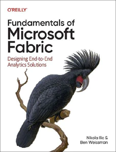 Bild von ILIC, N: FUNDAMENTALS OF MICROSOFT FABRIC