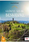 Polska książka : Główny Szl... - Krzysztof Bzowski
