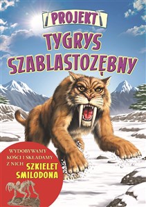 Obrazek Projekt Tygrys szablastozębny