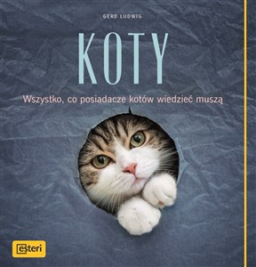 Bild von Koty Wszystko, co posiadacze kotów wiedzieć muszą