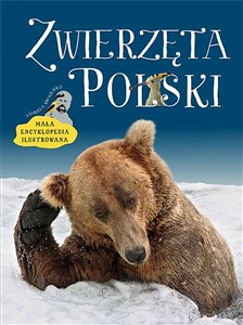 Obrazek Zwierzęta Polski Mała encyklopedia ilustrowana