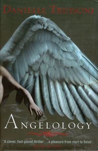 Obrazek Angelology