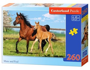 Obrazek Puzzle Mare and Foal 260