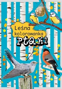 Bild von Ptaki Leśna kolorowanka