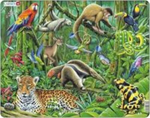 Bild von Układanka Południowoamerykańskie lasy deszczowe 70 elementów