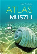 Atlas musz... - Maja Prusińska - buch auf polnisch 