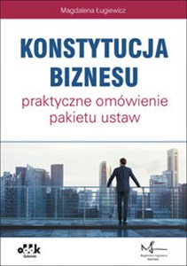 Bild von Konstytucja biznesu praktyczne omówienie pakietu ustaw