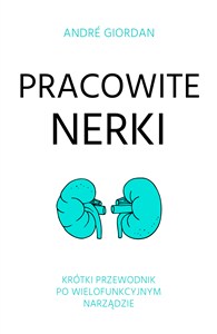 Obrazek Pracowite nerki Krótki przewodnik po wielofunkcyjnym narządzie