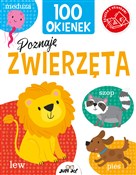 100 okiene... - Kit Elliot - Ksiegarnia w niemczech