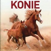Konie - Jon Stroud -  polnische Bücher