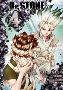 Bild von Dr. Stone. Tom 4