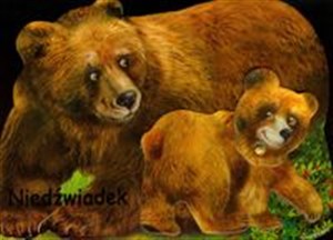 Bild von Niedźwiadek
