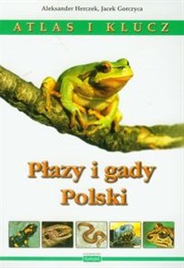 Bild von Płazy i gady Polski Atlas i klucz