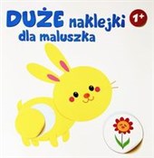 Duże nakle... -  Książka z wysyłką do Niemiec 