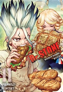 Bild von Dr Stone. Tom 11