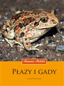 Płazy i ga... - Krzysztof Klimaszewski -  polnische Bücher