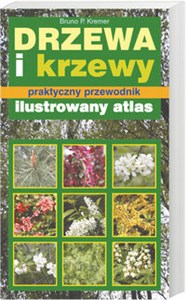 Bild von Drzewa i krzewy Praktyczny przewodnik.Ilustrowany atlas