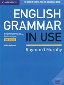 Polnische buch : English Gr... - Raymond Murphy