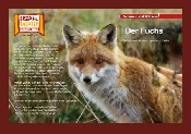 KAMISHIBAI... - Ksiegarnia w niemczech