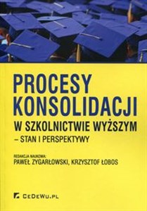 Obrazek Procesy konsolidacji w szkolnictwie wyższym stan i perpsektywy