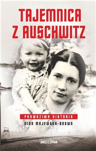 Obrazek Teoretyczny wymiar bezpieczeństwa europejskiego