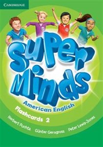 Obrazek Super Minds American English Level 2 Flashcards (Pack of 103)