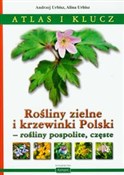 Polnische buch : Rośliny zi... - Andrzej Urbisz, Alina Urbisz