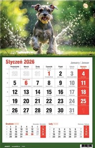 Bild von Kalendarz 2026 jednodzielny MIX