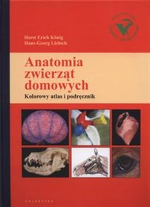 Bild von Anatomia zwierząt domowych Kolorowy atlas i podręcznik
