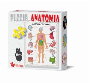 Bild von Puzzle Anatomia 100