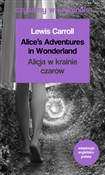 Polnische buch : Alice`s Ad... - Lewis Carroll