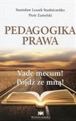 Pedagogika... - Stanisław Leszek Stadniczeńko, Piotr Zamelski -  polnische Bücher