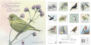 Obrazek Kalendarz 2026 ścienny Ptactwo Chris Pendleton