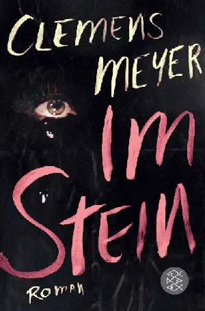 Obrazek MEYER, C: IM STEIN