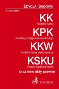 Kodeks kar... -  fremdsprachige bücher polnisch 