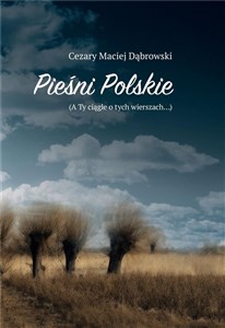 Bild von Pieśni Polskie a Ty ciągle o tych wierszach