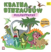 Kraina din... - Opracowanie Zbiorowe - buch auf polnisch 