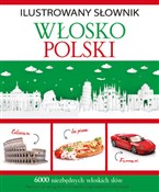 Polnische buch : Ilustrowan... - Tadeusz Woźniak