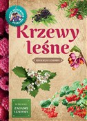 Książka : Krzewy leś... - Tomasz Hryniewicki