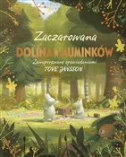Polska książka : Zaczarowan... - Amanda Li