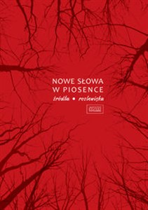 Bild von Nowe słowa w piosence