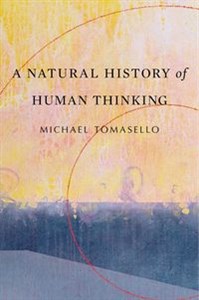 Bild von Natural History of Human Thinking