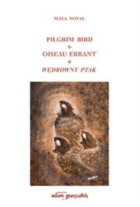 Obrazek Pilgrim Bird Oiseau Errant Wędrowny Ptak