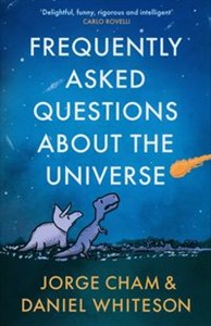 Bild von Frequently Asked Questions About the Universe