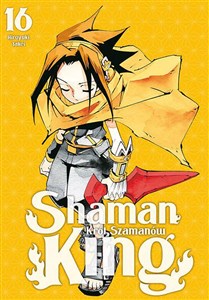 Obrazek Shaman King. Tom 16