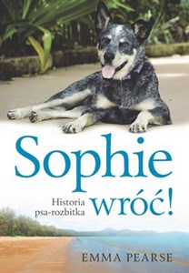 Obrazek Sophie wróć! Historia psa-rozbitka