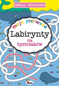 Bild von Kredką i pędzelkiem Moje pierwsze labirynty dla bystrzaków